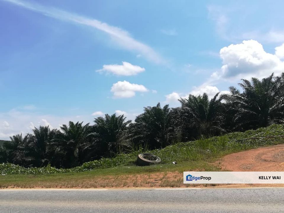 Kulai @ Johor 450 Acres Agricultural Land For Sale, Johor, Kulai