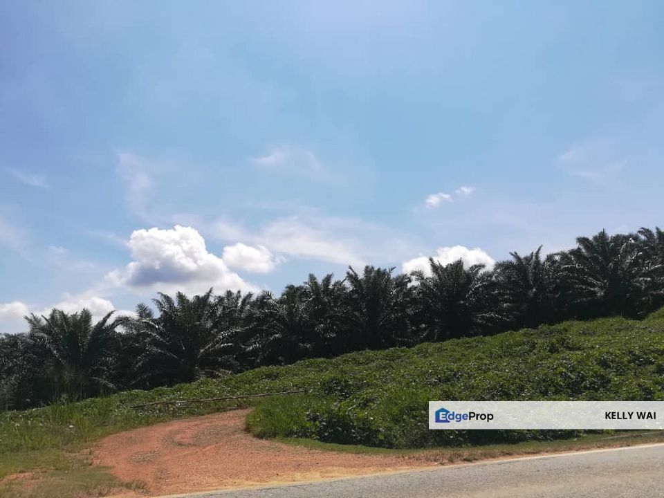Kulai @ Johor 450 Acres Agricultural Land For Sale, Johor, Kulai