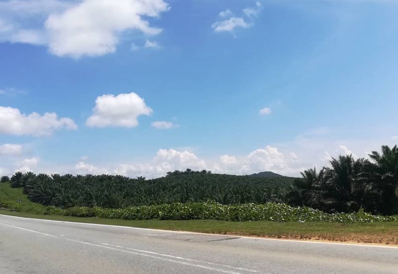 Kulai @ Johor 450 Acres Agricultural Land For Sale