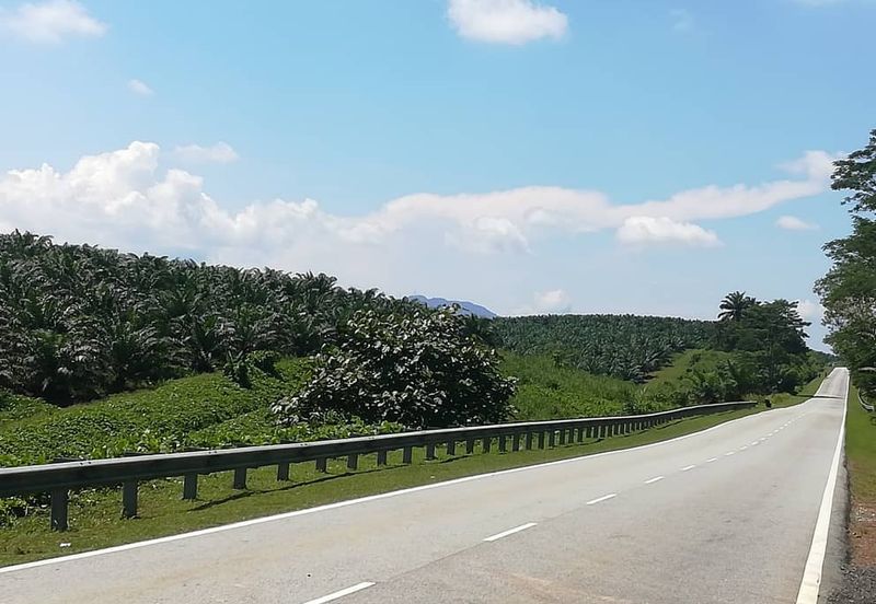 Kulai @ Johor 450 Acres Agricultural Land For Sale