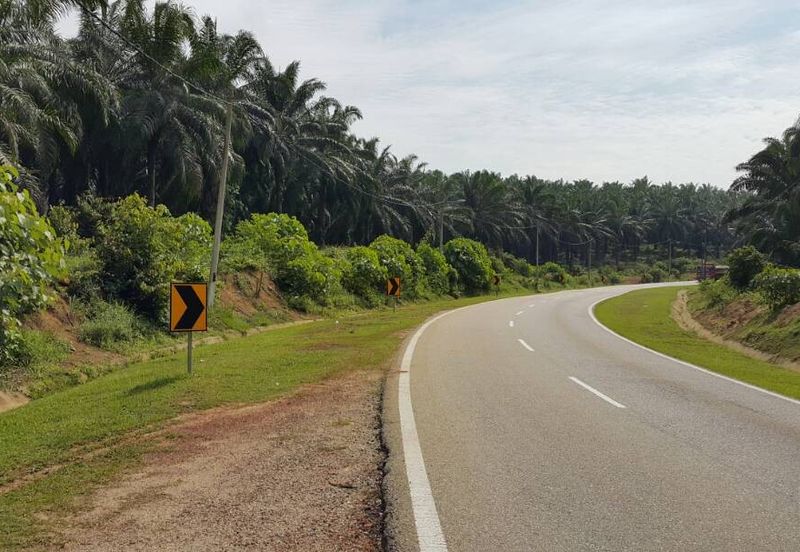 Kuala Pilah @ Negeri Sembilan 198 Acres Agricultural Land For Sale
