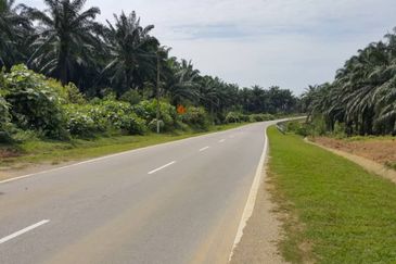 Kuala Pilah @ Negeri Sembilan 198 Acres Agricultural Land For Sale