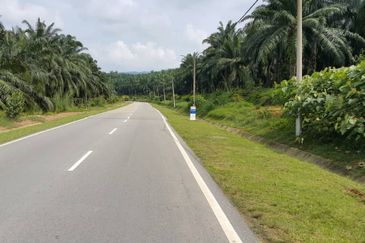 Kuala Pilah @ Negeri Sembilan 198 Acres Agricultural Land For Sale