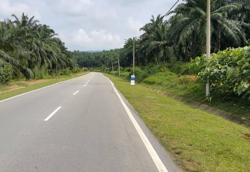 Kuala Pilah @ Negeri Sembilan 198 Acres Agricultural Land For Sale