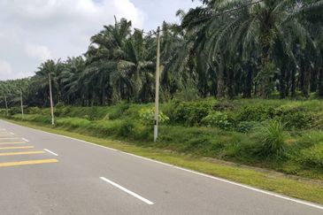 Kuala Pilah @ Negeri Sembilan 198 Acres Agricultural Land For Sale