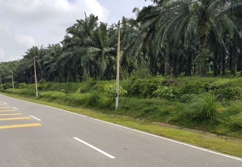 Kuala Pilah @ Negeri Sembilan 198 Acres Agricultural Land For Sale