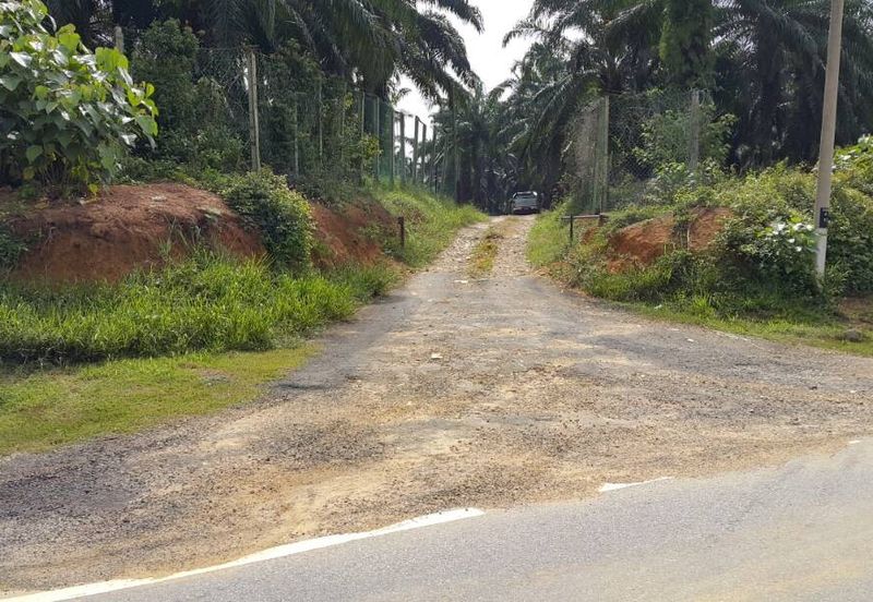 Kuala Pilah @ Negeri Sembilan 198 Acres Agricultural Land For Sale
