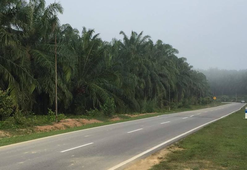 Kuala Pilah @ Negeri Sembilan 198 Acres Agricultural Land For Sale