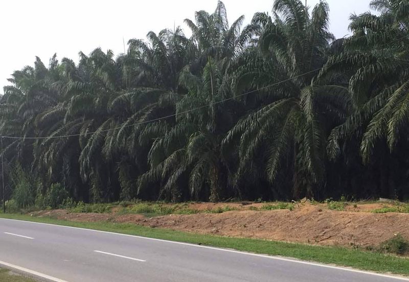 Kuala Pilah @ Negeri Sembilan 198 Acres Agricultural Land For Sale