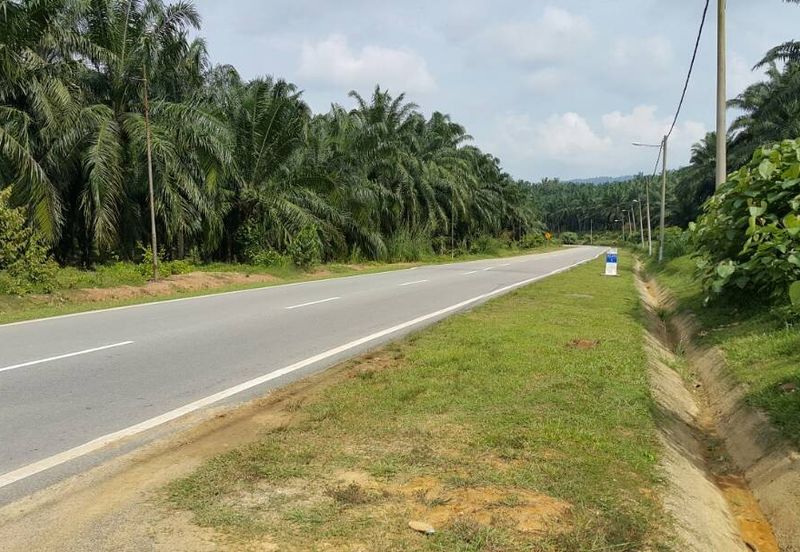 Kuala Pilah @ Negeri Sembilan 198 Acres Agricultural Land For Sale