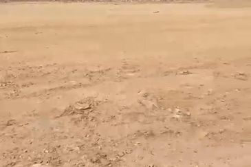 Jeram Batu @ Pontian 8.5 Acres Agricultural Land Zoning Industrial Land For Sale