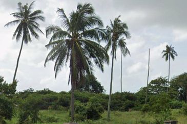 Teluk Ramunia @ Kota Tinggi Commercial Land with Tourism Title Approved For Sale