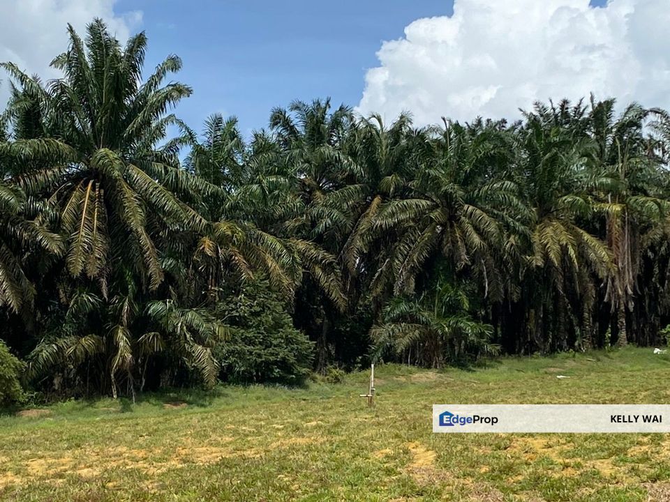 Senai @ Kulai 7.5 acres Agriculture Land For Sale , Johor, Kulai