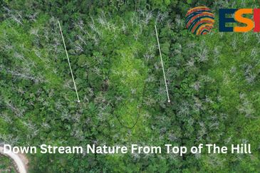 Taman Bentong Makmur