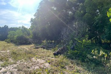 Tanah industrial pekan Pahang