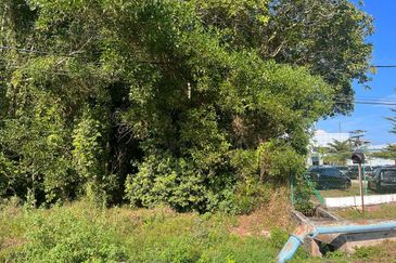 Tanah industrial pekan Pahang