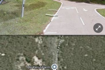 Tanah Pertanian Kelapa Sawit 6 Ekar Chenor