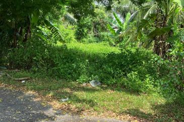 Tanah Pertanian Kelapa Sawit 6 Ekar Chenor