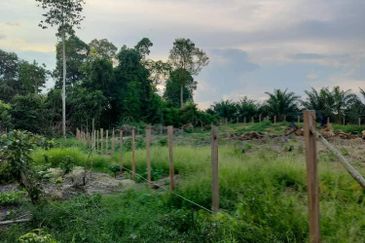   8.39 ekar tanah pertanian kg tebak kemaman