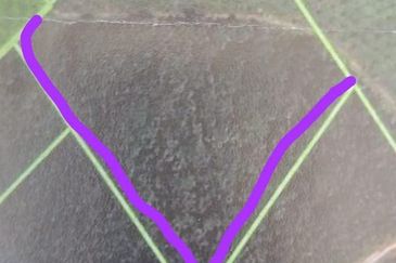   8.39 ekar tanah pertanian kg tebak kemaman