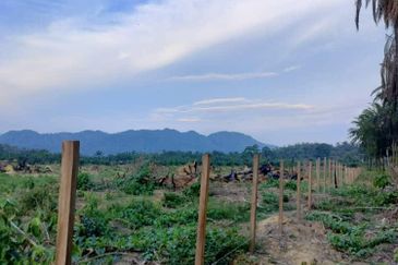   8.39 ekar tanah pertanian kg tebak kemaman