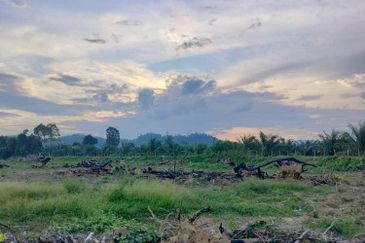   8.39 ekar tanah pertanian kg tebak kemaman