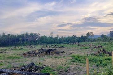   8.39 ekar tanah pertanian kg tebak kemaman