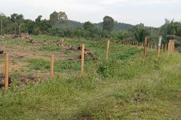   8.39 ekar tanah pertanian kg tebak kemaman