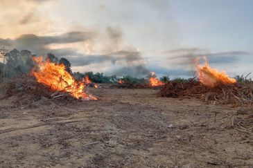   8.39 ekar tanah pertanian kg tebak kemaman