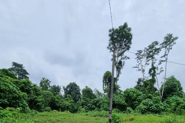TANAH  8.91 EKAR  MUKIM GALI, RAUB PAHANG 