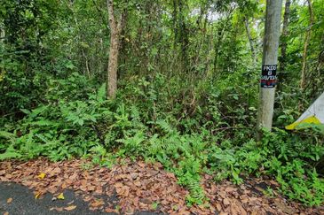 TANAH  8.91 EKAR  MUKIM GALI, RAUB PAHANG 