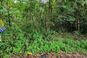 TANAH  8.91 EKAR  MUKIM GALI, RAUB PAHANG 