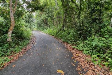 TANAH  8.91 EKAR  MUKIM GALI, RAUB PAHANG 