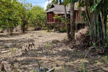 TANAH PERTANIAN UNTUK Kg Ajai, Raub Pahang 