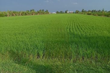 Sekinchan Business Centre