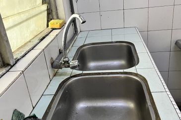 Flat Taman Bunga Negara