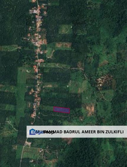 RAUB SEGA PAHANG AGRICULTURE LAND FOR SALE Durian Pahang, Pahang, Sega