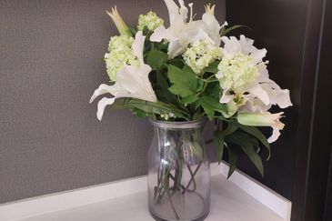 Quartz @ Queens Residenz, Queensville