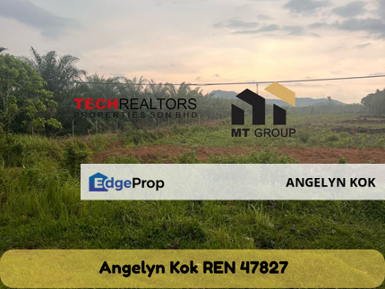 Changlun Kedah - Agriculture Land 🔥(Zoning Commercial & Residential), Kedah, Jitra