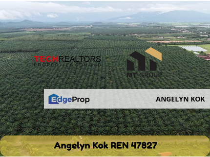 PENDANG KEDAH - Agriculture Land Beside Road, Kedah, Pendang