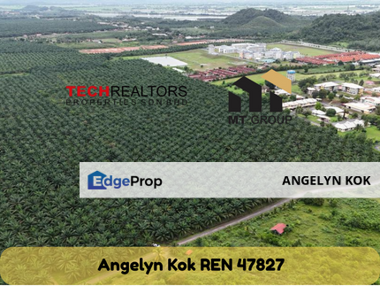 PENDANG KEDAH - Agriculture Land Beside Road, Kedah, Pendang