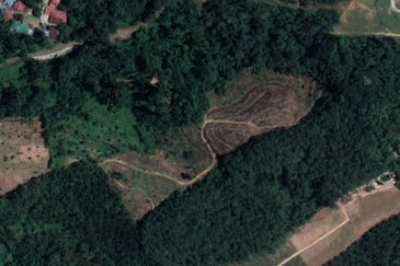 Freehold Durian Land @ Tapah Near Toll