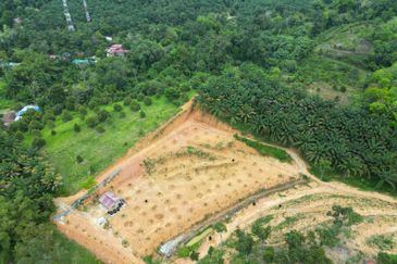Freehold Durian Land @ Tapah Near Toll
