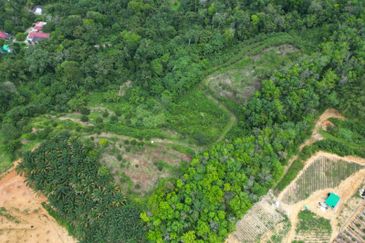 Freehold Durian Land @ Tapah Near Toll
