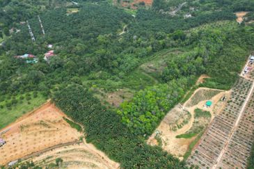 Freehold Durian Land @ Tapah Near Toll
