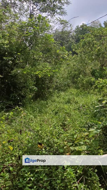 Bandar Kinrara-Commercial Land For Sale, Selangor, Bandar Kinrara Puchong