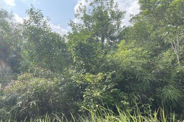 Taman Tasik Semenyih