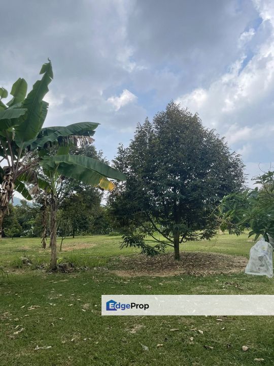 Taman Tasik Semenyih-Agricultural Land For Sale, Selangor, Semenyih