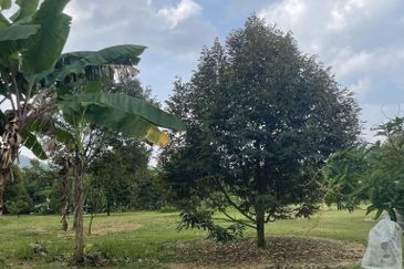 Taman Tasik Semenyih