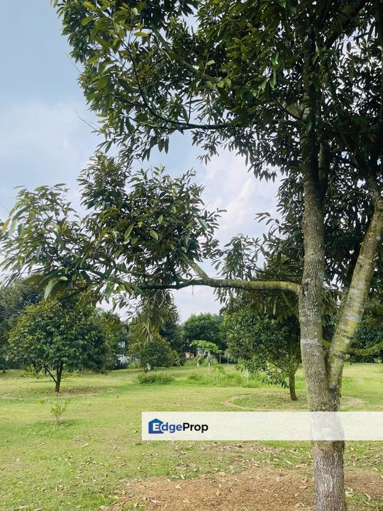 Taman Tasik Semenyih-Agricultural Land For Sale, Selangor, Semenyih
